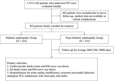 Diabetic kidney disease as an independent predictor of long-term adverse outcomes in patients with coronary artery disease and diabetic mellitus